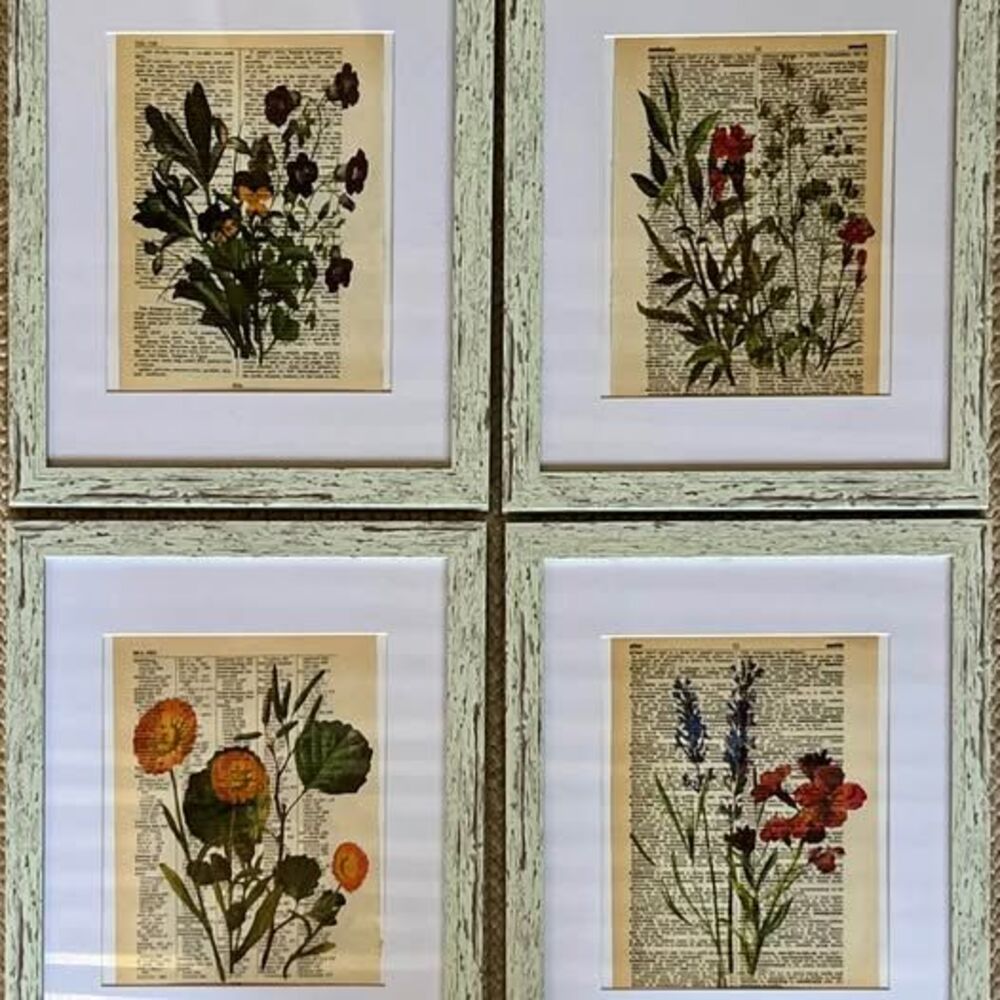 Vintage Botanical Dictionary Prints – Framed Individual or Set 🌿